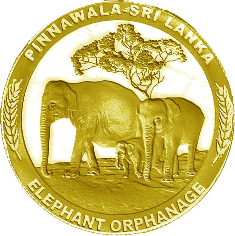 pinnawala_elephant_orphanage